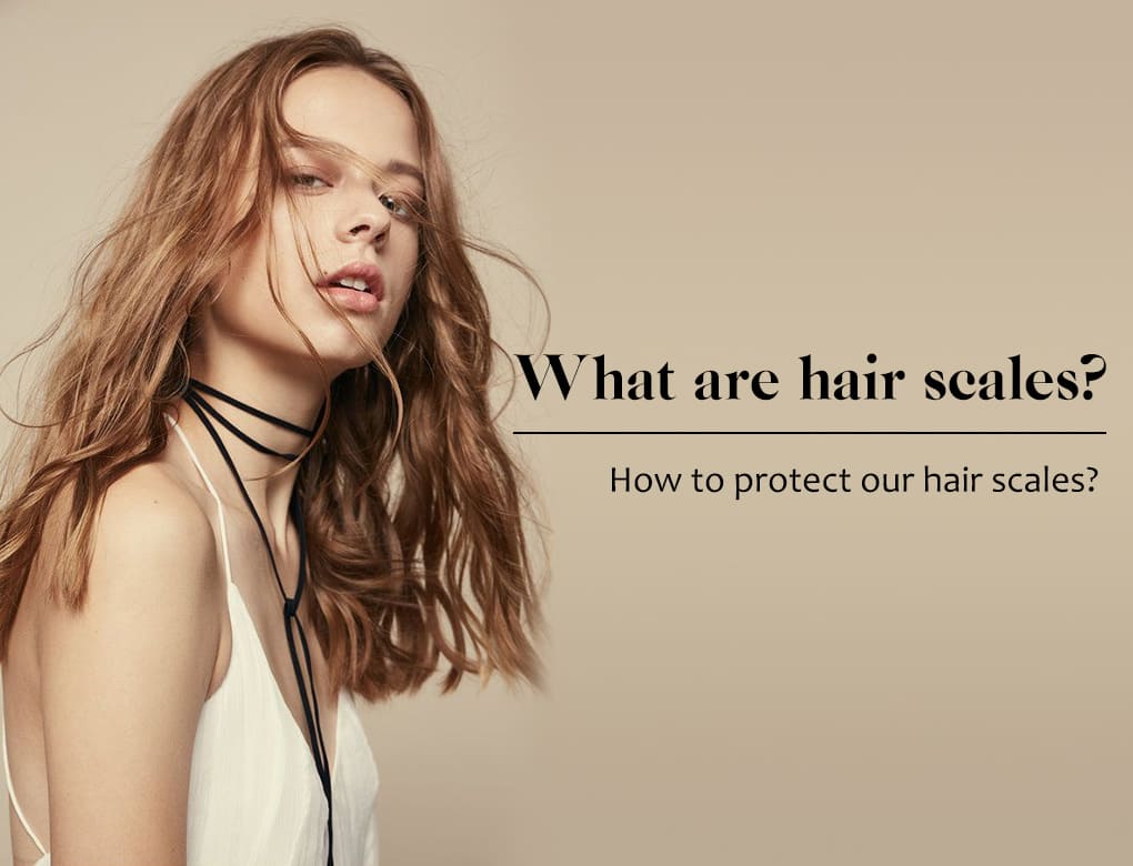 what are hair scale