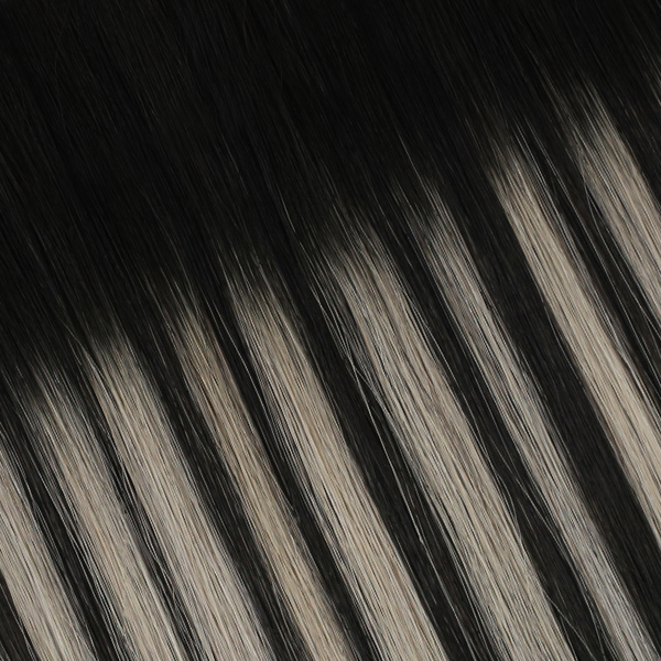 #1B/S/1B- Silver Noir
