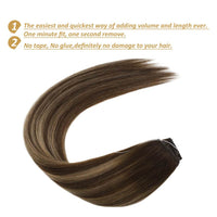 Halo Hair Extensions Flip on Hair Dark Brown with Blonde 4/27/4